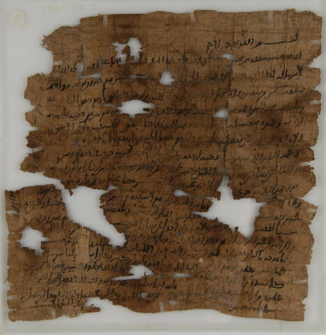 Papyrus, image 1/2