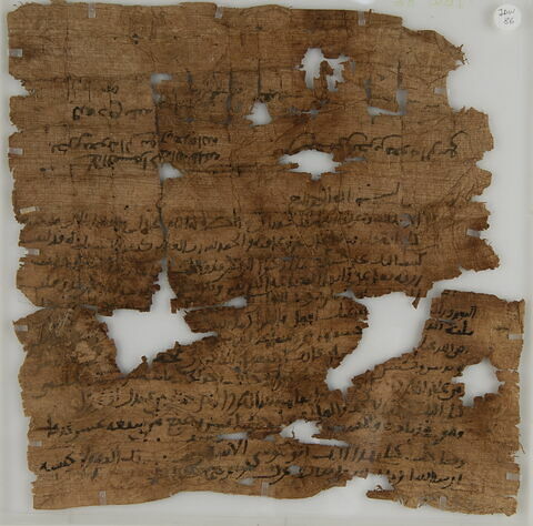 Papyrus, image 2/2