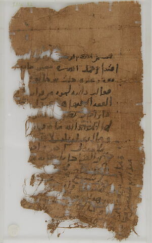 Papyrus, image 1/1