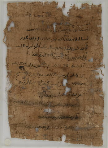Papyrus, image 2/2