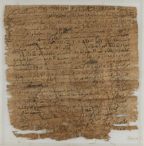 Papyrus, image 2/2