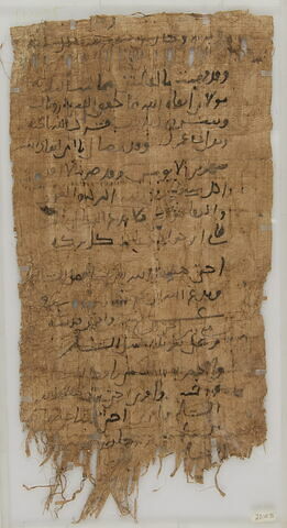 Papyrus, image 1/1