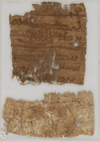 Papyrus, image 1/2