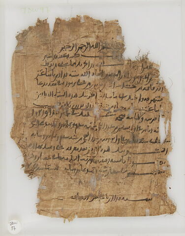 Papyrus, image 1/2