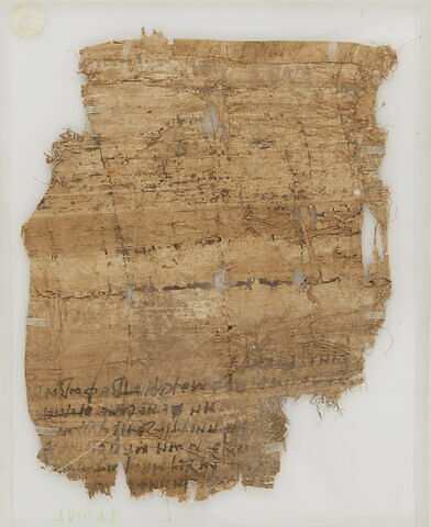 Papyrus, image 2/2