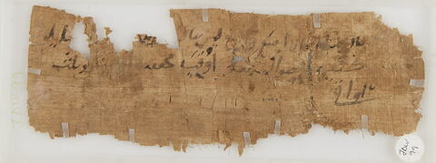 Papyrus, image 1/2