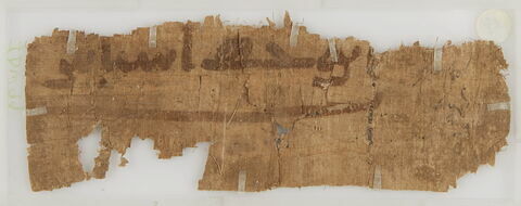 Papyrus, image 2/2