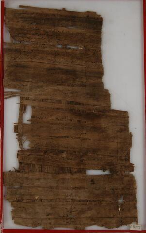 Papyrus, image 1/2