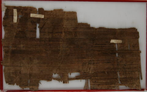 Papyrus, image 2/2
