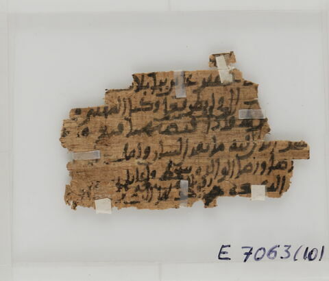 Papyrus, image 1/2