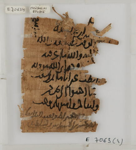 Papyrus, image 1/2