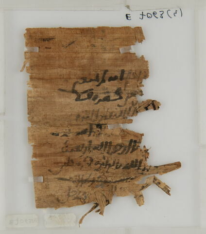 Papyrus, image 2/2