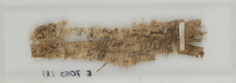 Papyrus, image 2/2