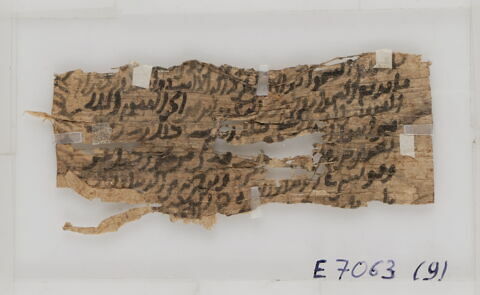 Papyrus, image 1/1