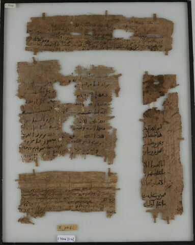 Papyrus, image 1/2