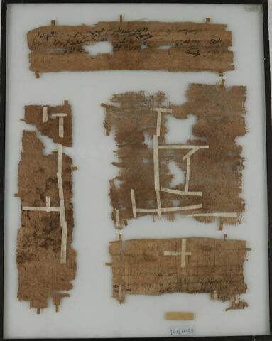 Papyrus, image 2/2