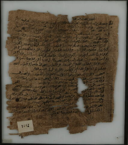 Papyrus, image 1/2