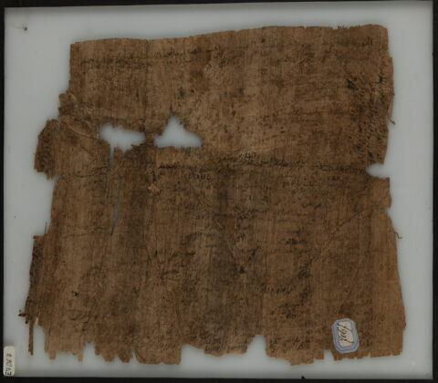 Papyrus, image 2/2