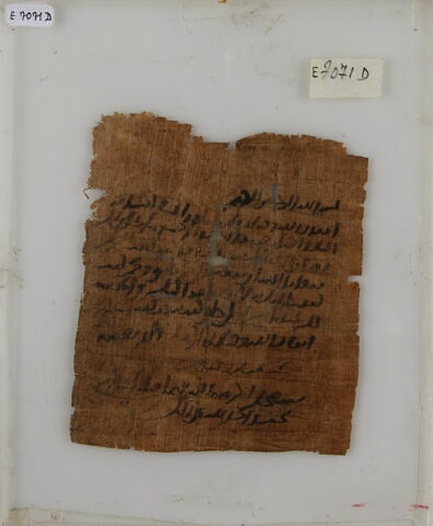 Papyrus, image 1/2