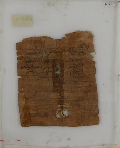 Papyrus, image 2/2