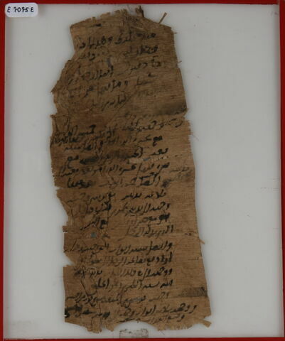Papyrus, image 1/2