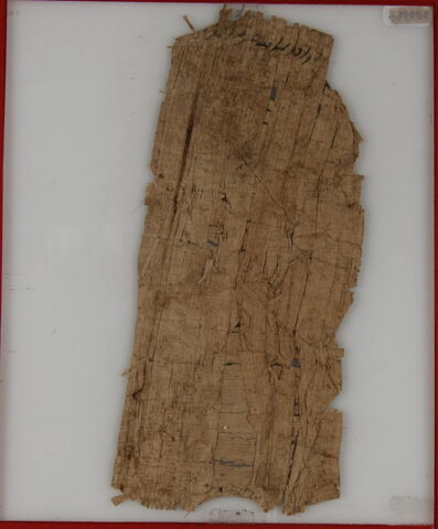Papyrus, image 2/2