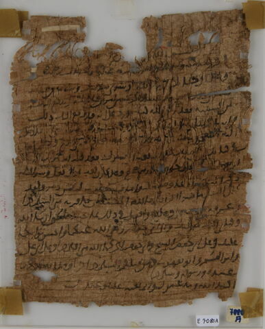 Papyrus, image 1/2