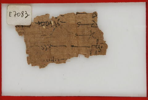 Papyrus, image 1/1
