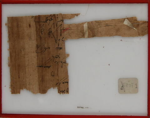 Papyrus, image 1/2
