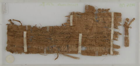 Papyrus, image 2/2