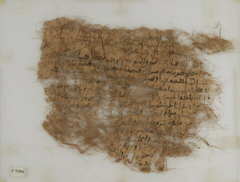 Papyrus, image 1/1