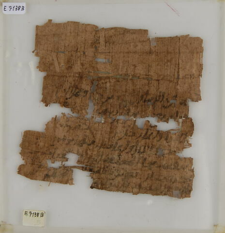 Papyrus, image 1/2