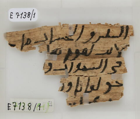 Papyrus, image 1/1