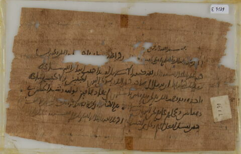 Papyrus, image 2/2