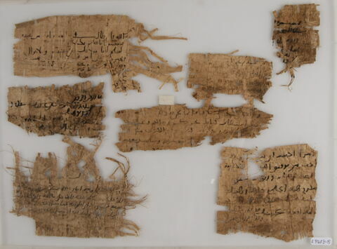 Papyrus, image 1/1