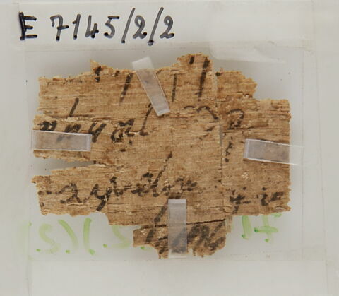 Papyrus, image 1/1