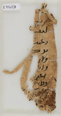 Papyrus, image 1/2