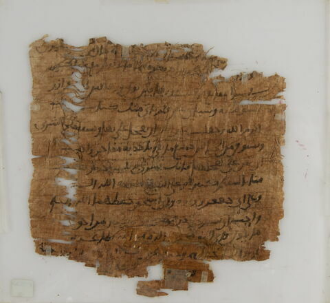 Papyrus, image 1/2