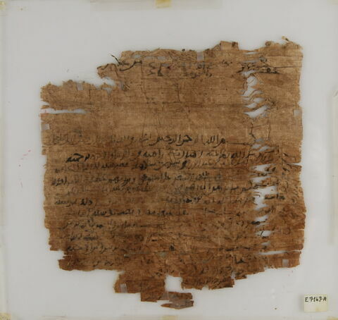 Papyrus, image 2/2
