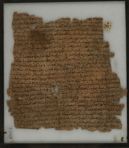 Papyrus, image 2/2