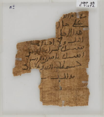 Papyrus, image 1/1