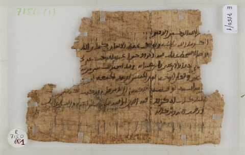 Papyrus, image 1/2