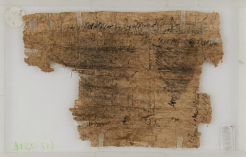 Papyrus, image 2/2
