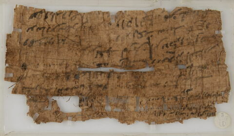 Papyrus, image 2/2