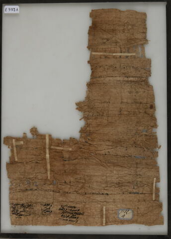 Papyrus, image 2/2