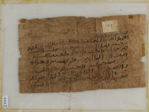 Papyrus, image 1/1