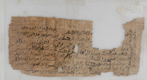 Papyrus, image 1/1