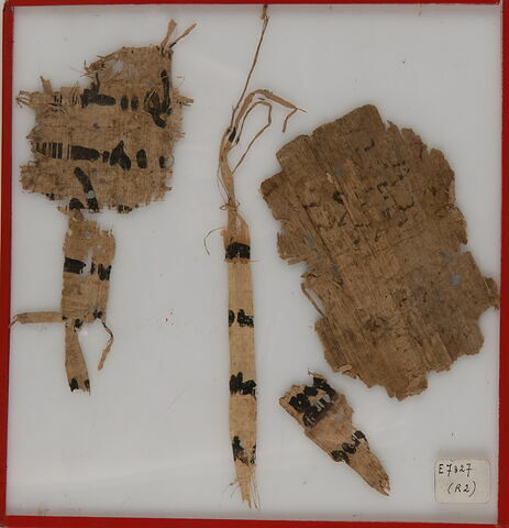 Papyrus, image 1/1