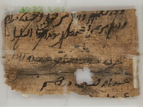 Papyrus, image 2/2