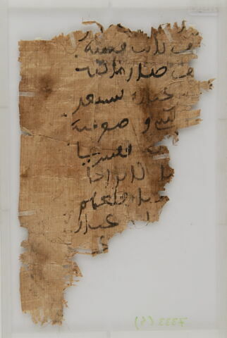 Papyrus, image 1/2